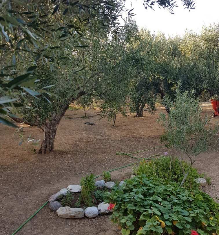 Althaea-Anatoli必去景点