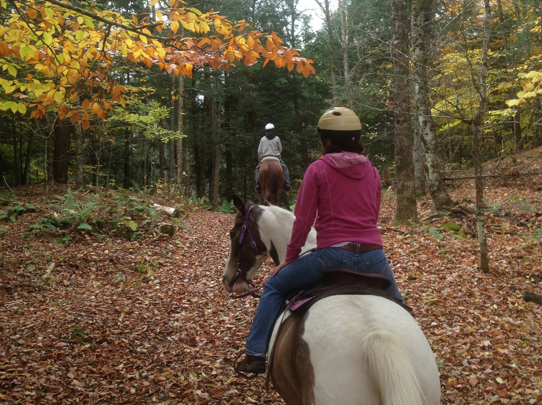 D-N-D Stables Guided Trail Rides-East Burke必去景点