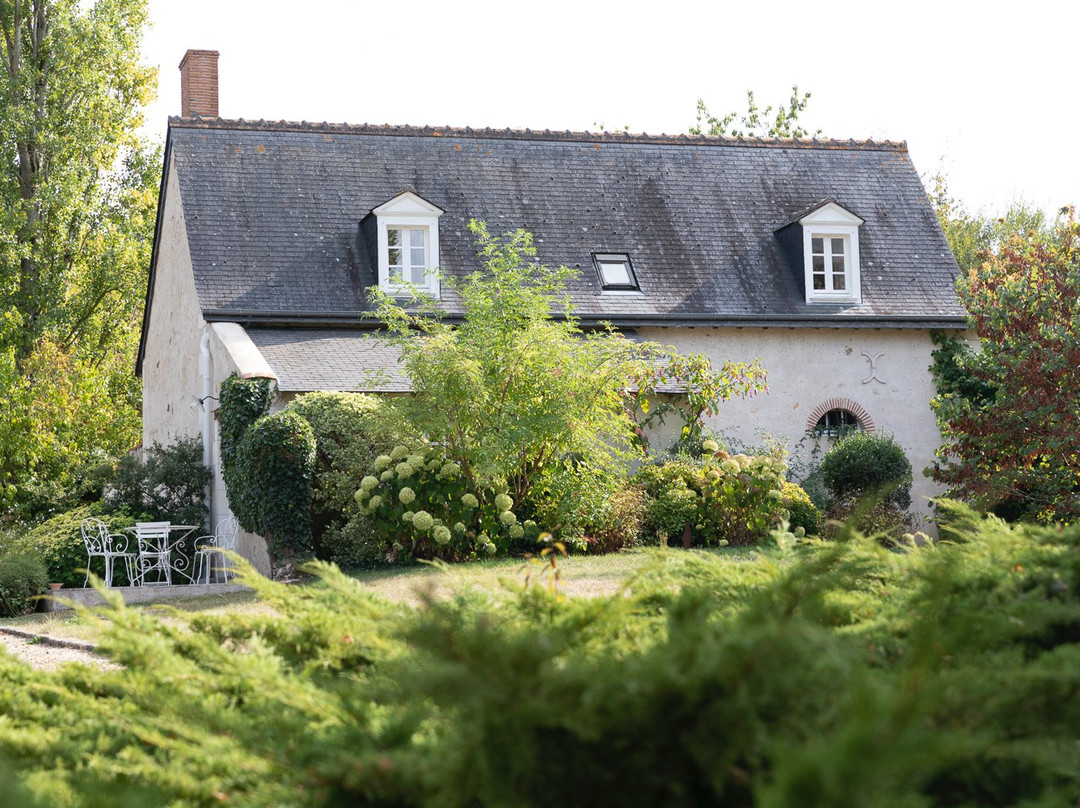 Château du Grand Bouchet主图