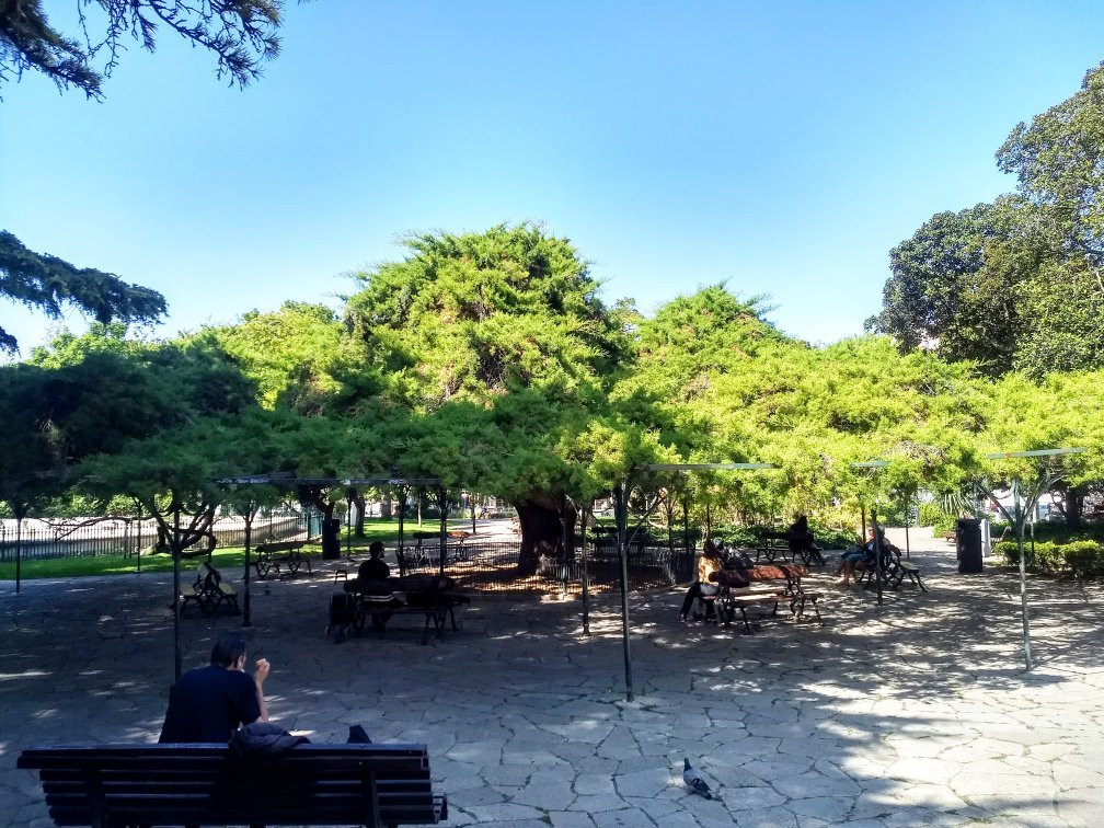 Jardim do Principe Real景点图片