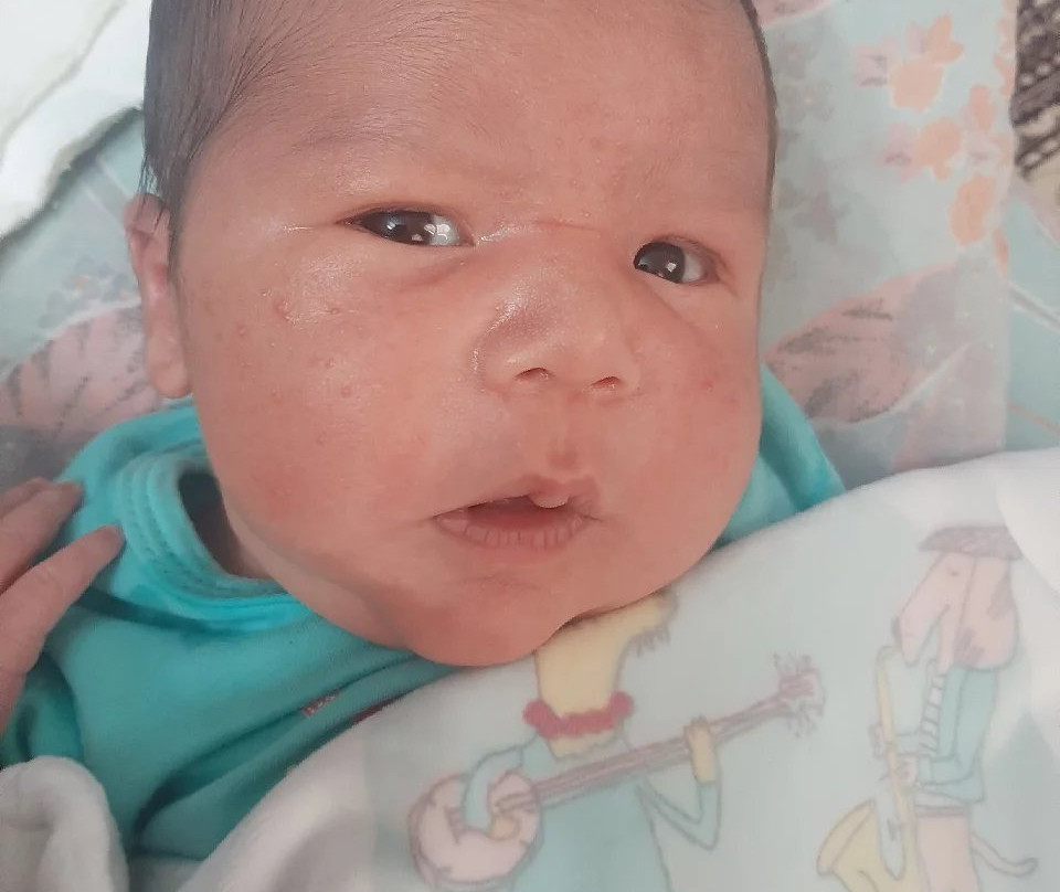 Khaneye Sabz Hotel主图