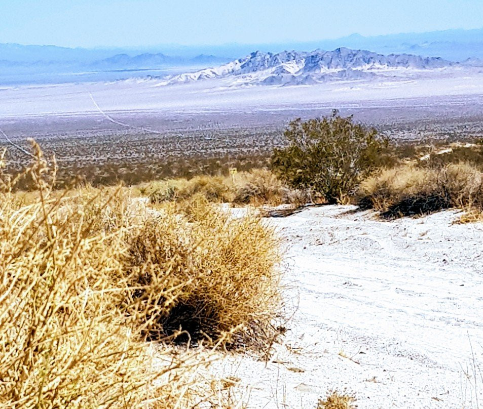 Mojave Trail-莫哈韦必去景点