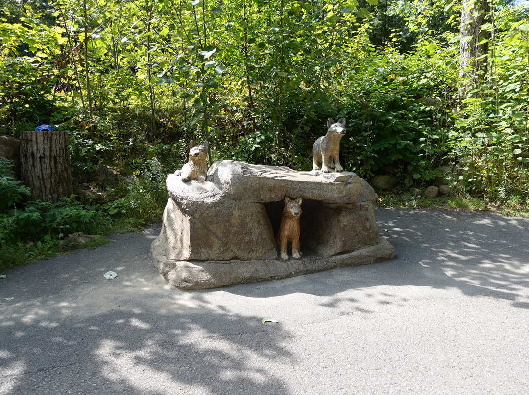Centre de ski Mont Sainte-Anne-Saint-Ferreol-Les-Neiges必去景点