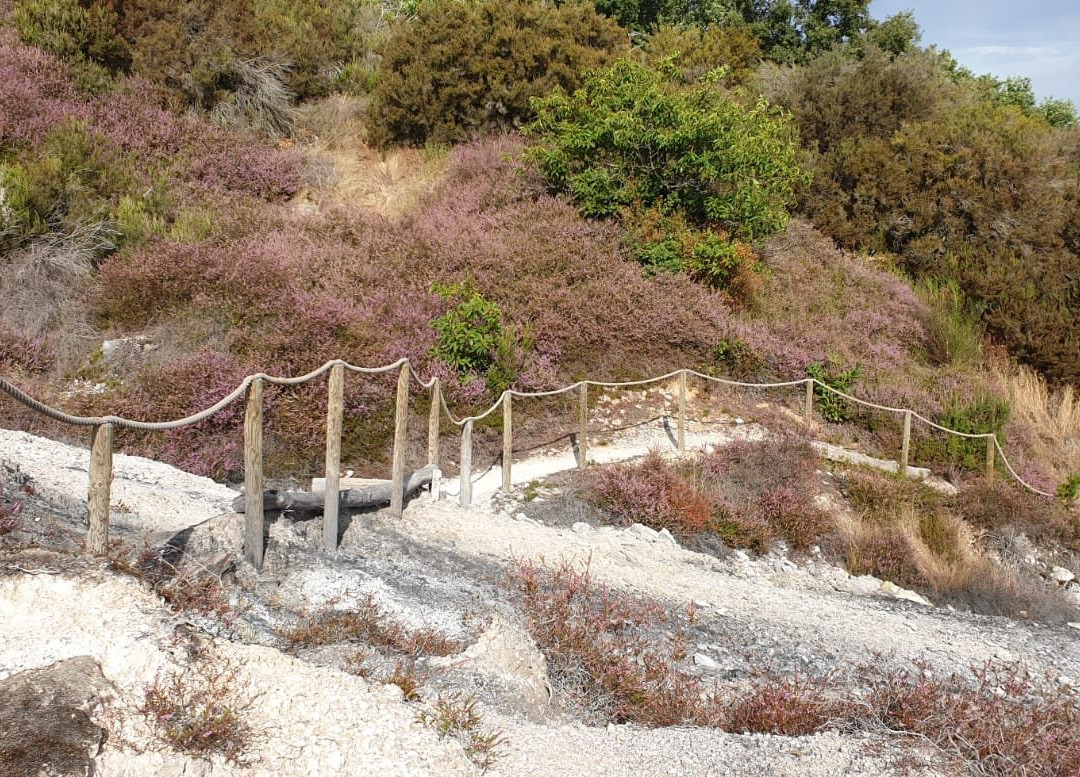 Parco Naturalistico Le Biancane景点图片