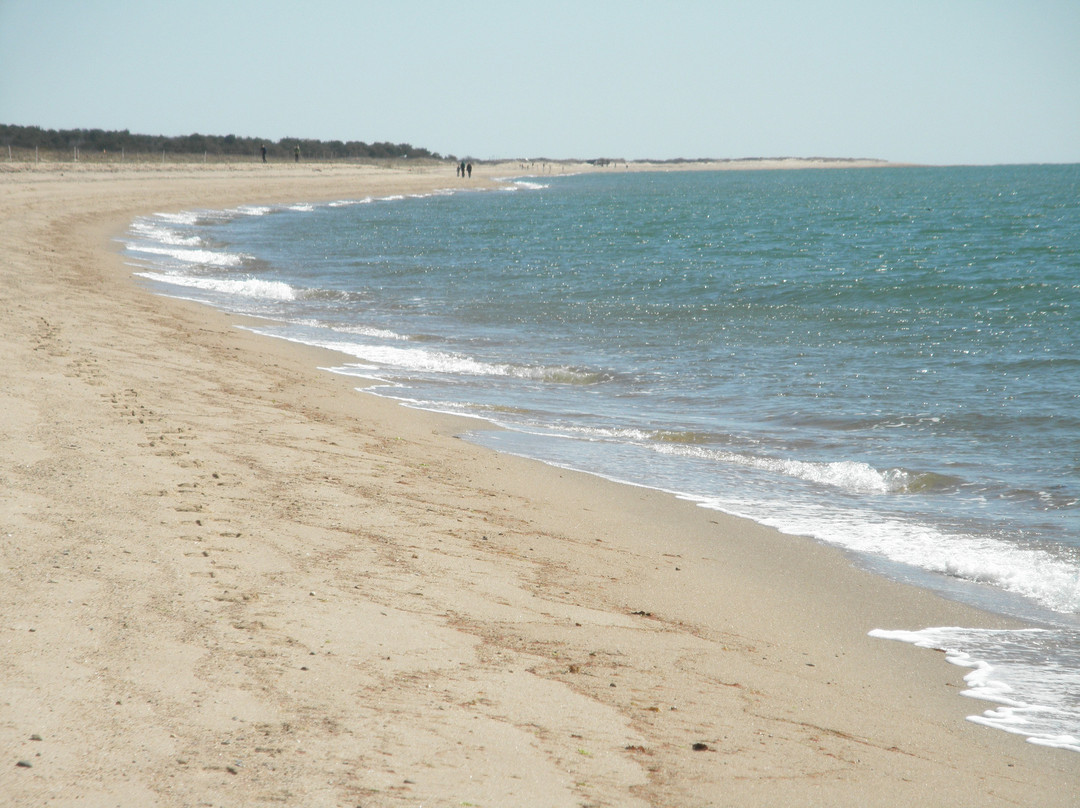 South Cape Beach State Park景点图片