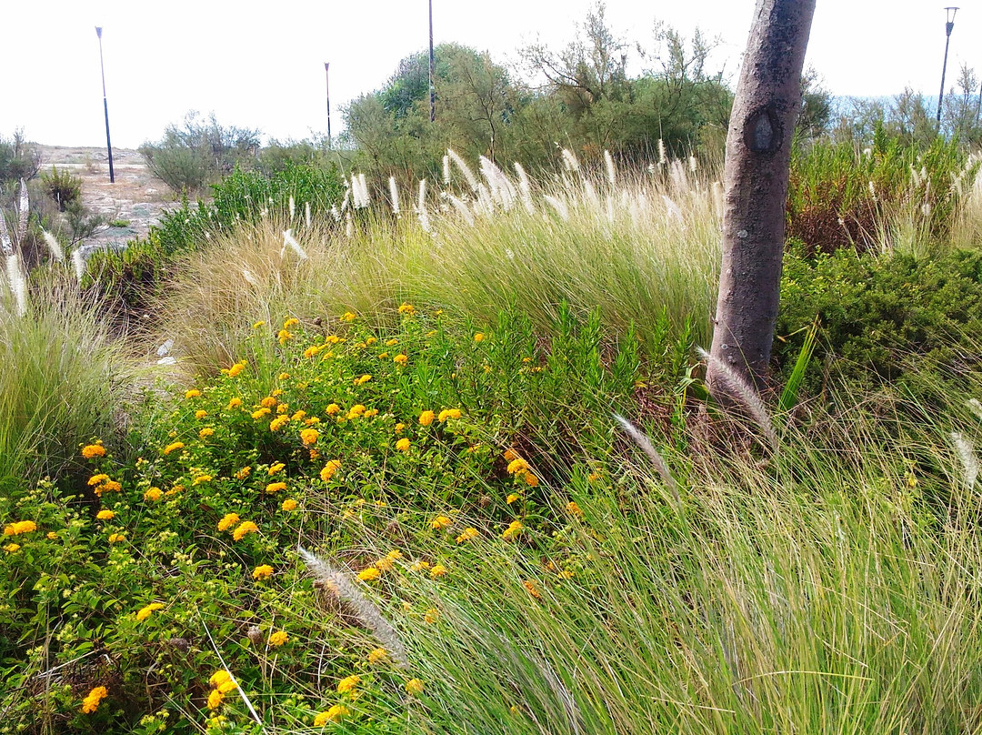 Torre Costiera-Racale必去景点