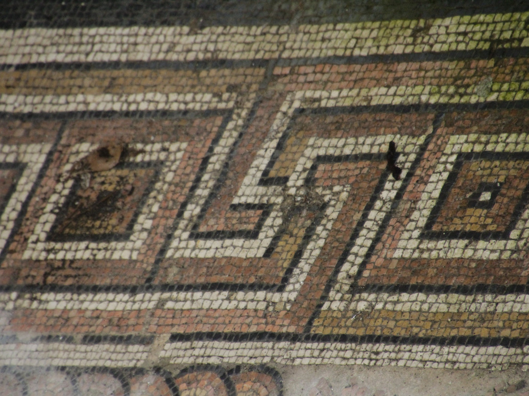 Floor mosaic The Punishment of Dirce景点图片