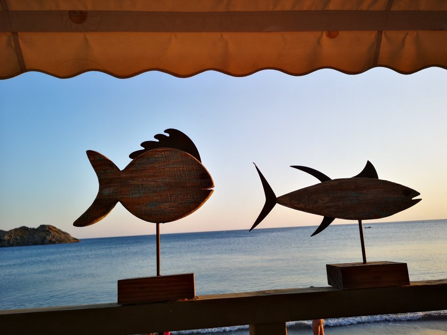 Skala Eressos Beach-Skala Eresou必去景点