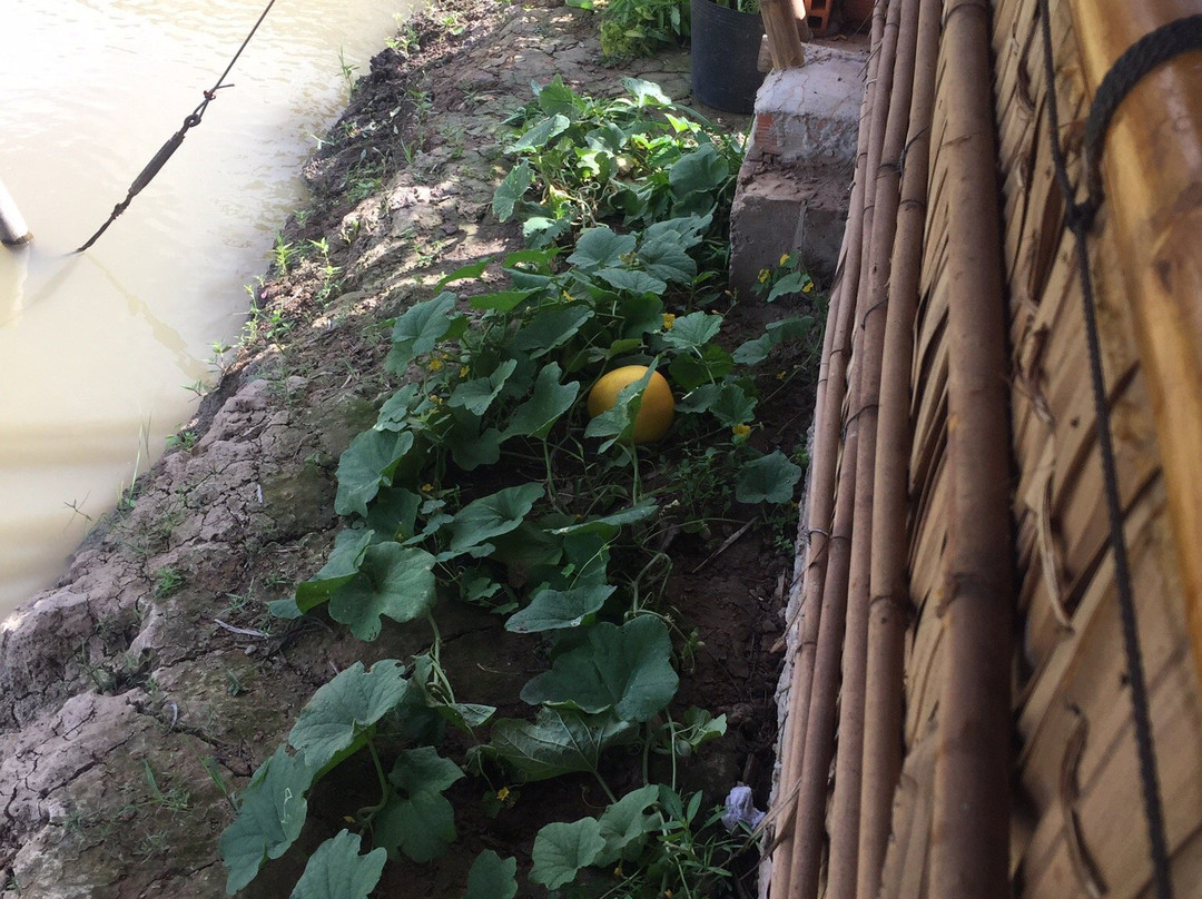 Maison en Bambou Phong -Le Vent主图