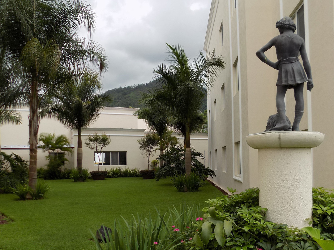 Hotel Las Palomas Express主图