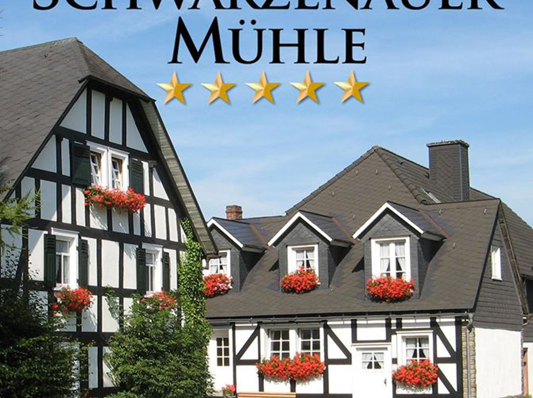 Gastehaus Schwarzenauer Mühle主图