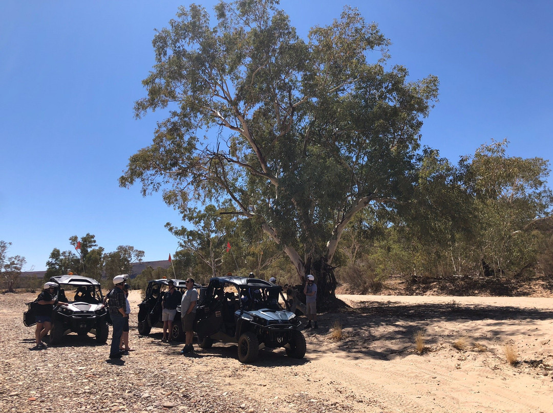 Finke River Adventures-爱丽斯泉必去景点