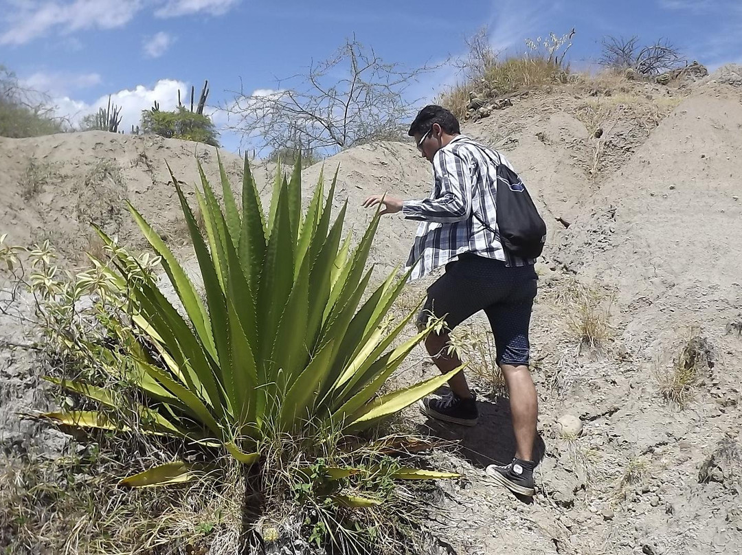 Tocayá Natura-Villavieja必去景点