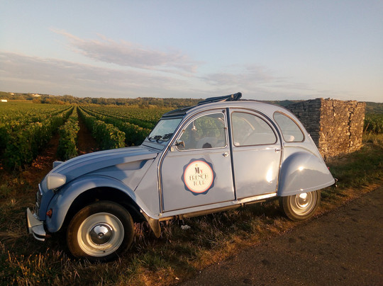 My French Tour-博讷必去景点