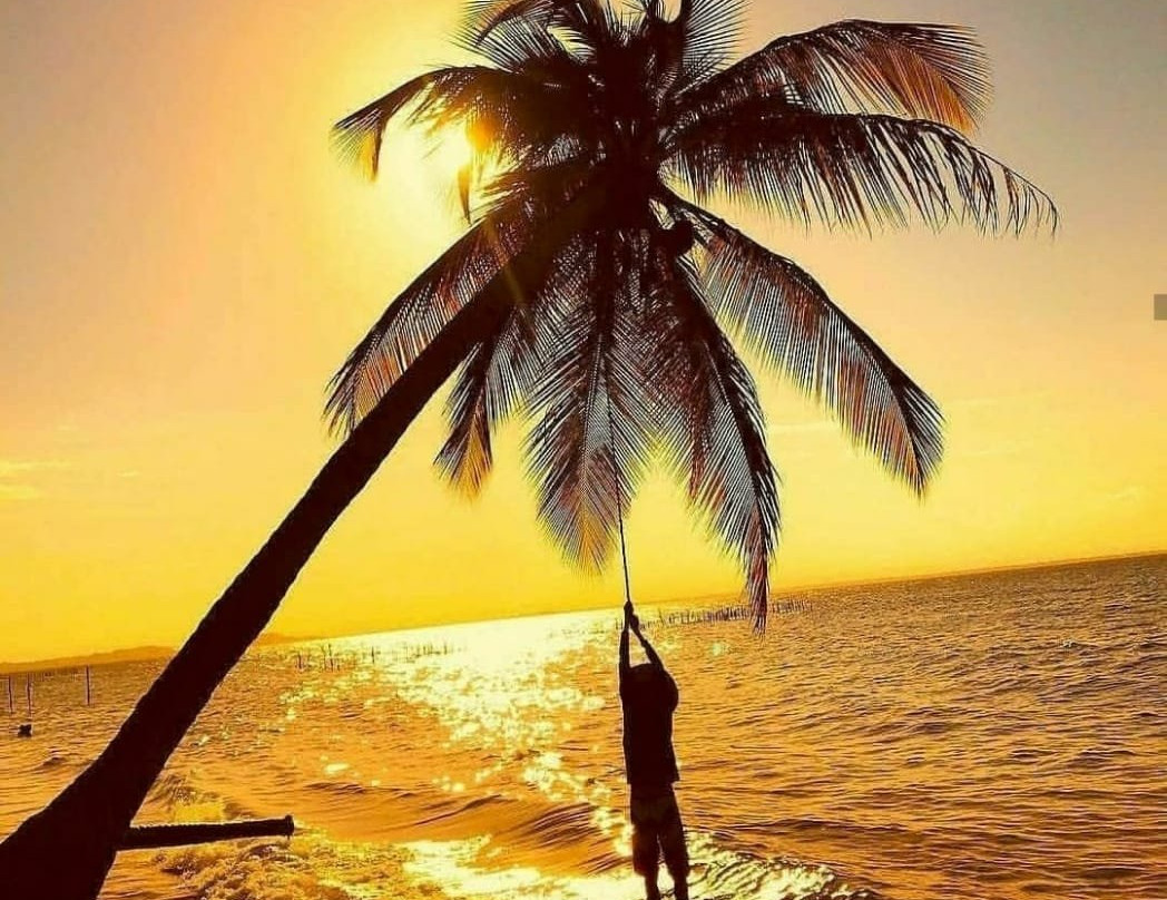 Praia Barra Grande-Barra Grande必去景点