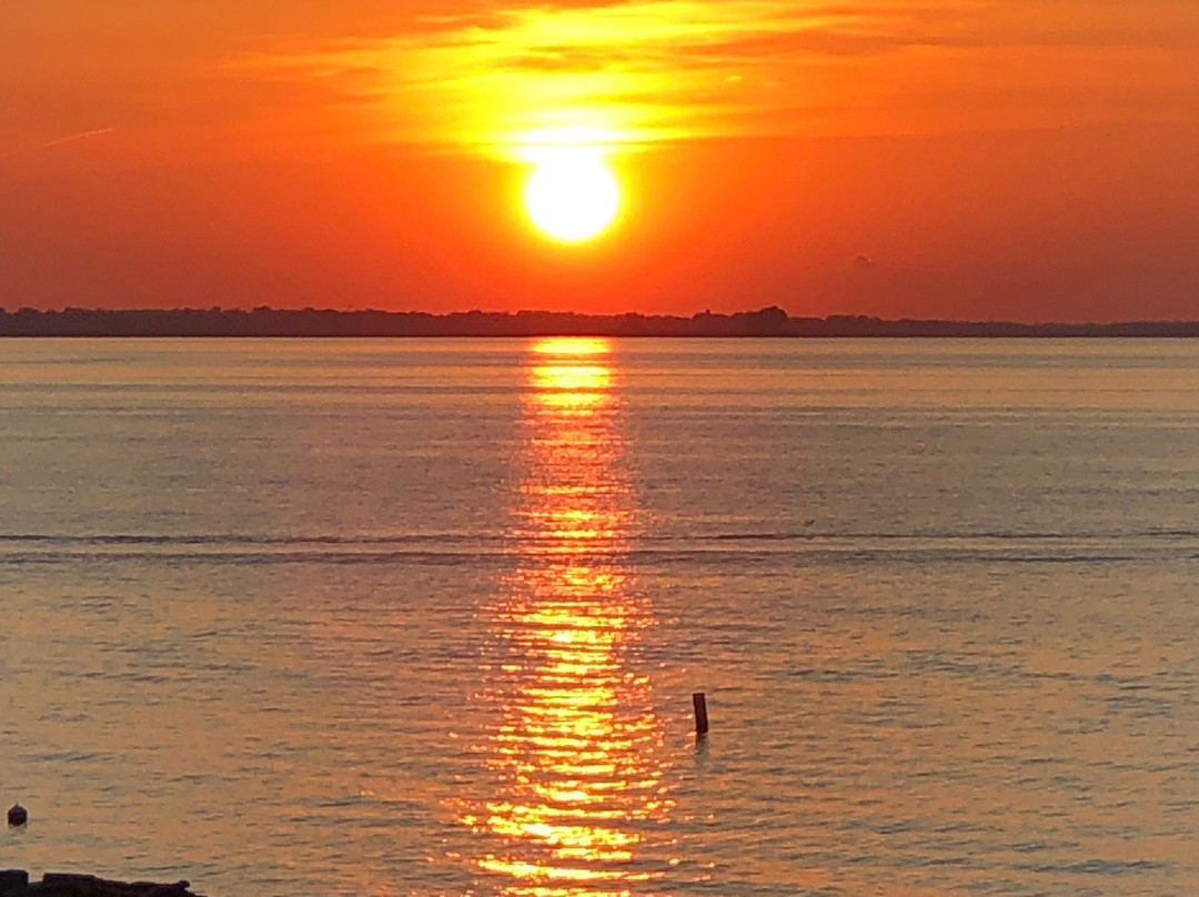 Wild Waves Motel主图