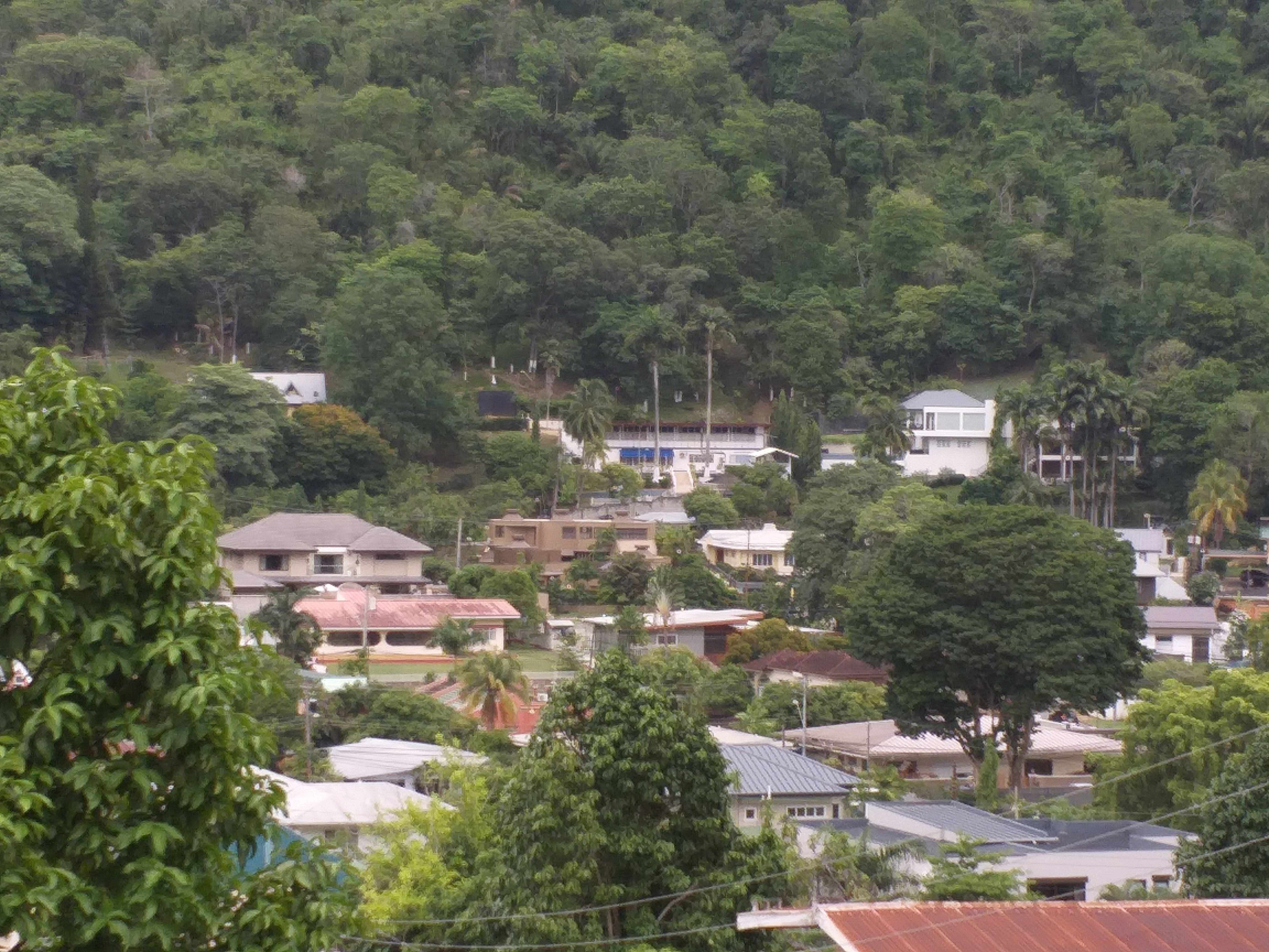 Carolyn's View-官方