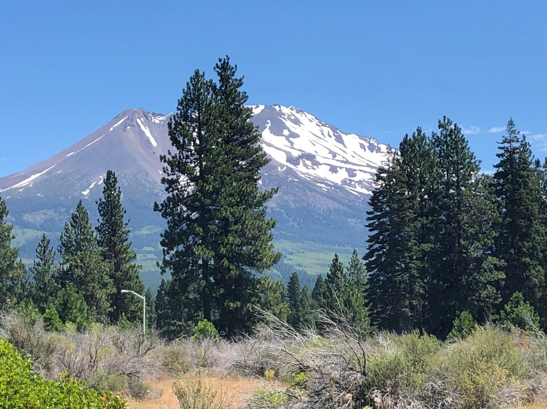 Mount Shasta City Park景点图片