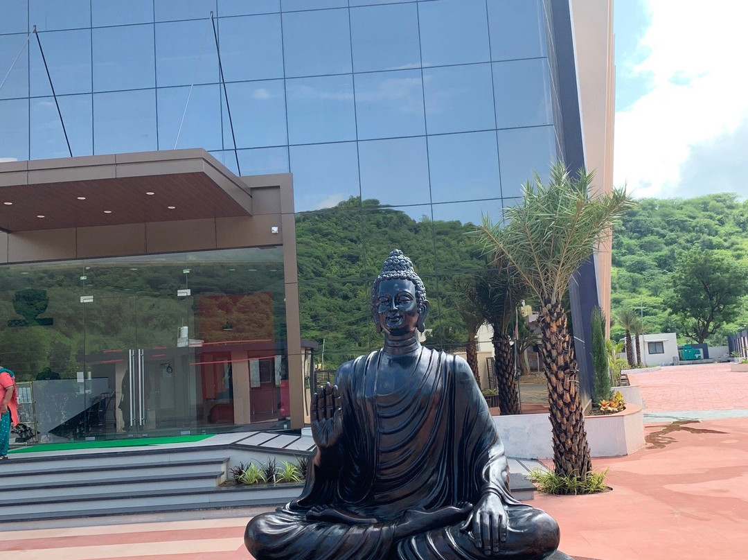 Hotel The Hind主图