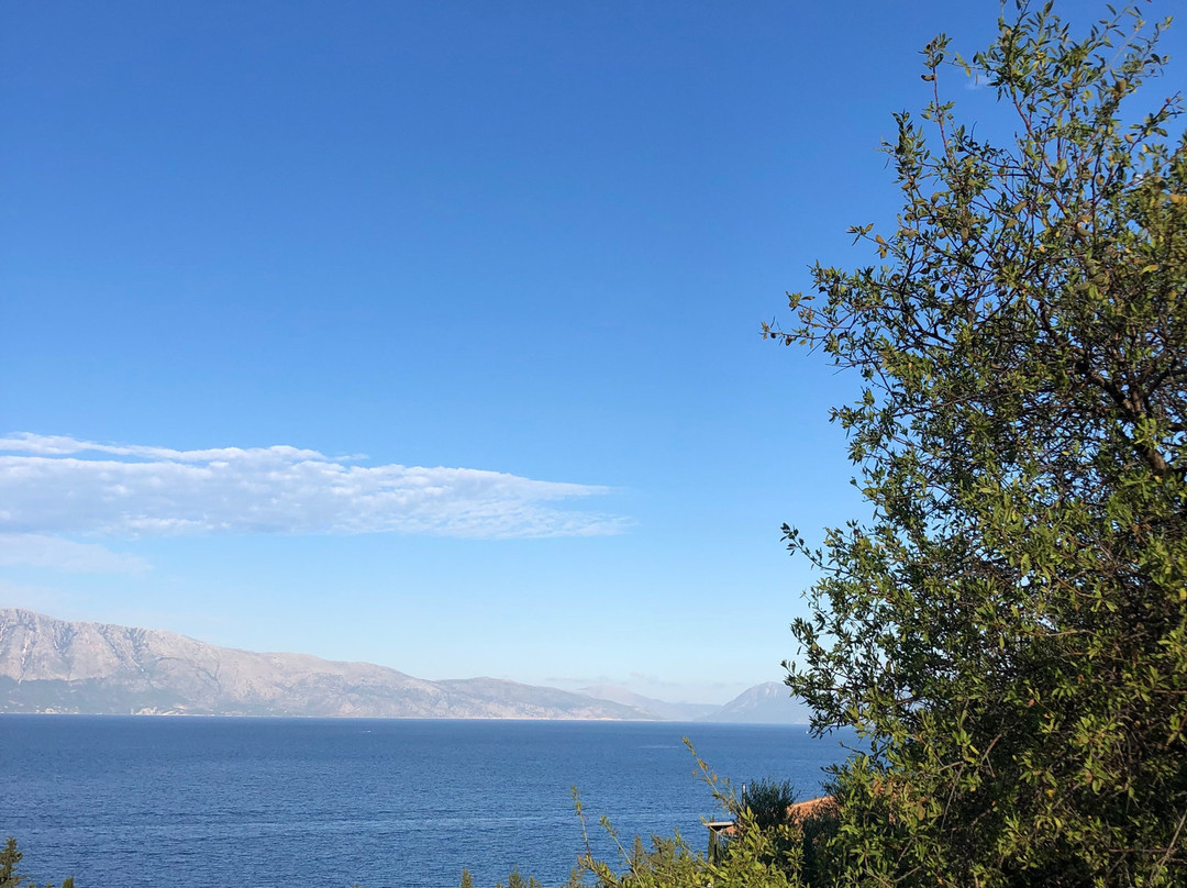 Vergina Star Hotel主图