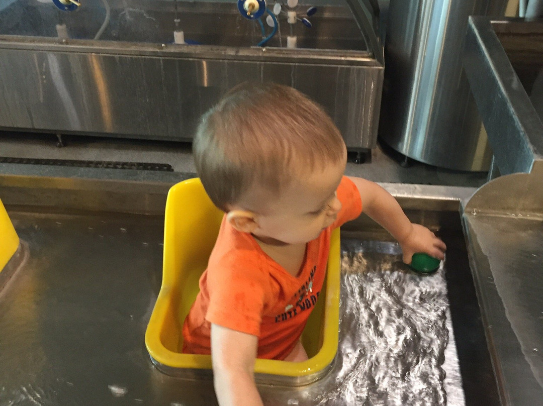 Terre Haute Childrens Museum-特雷霍特必去景点