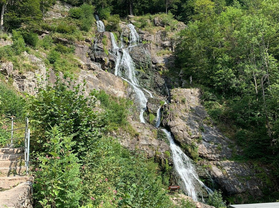 Todtnau Waterfalls景点图片