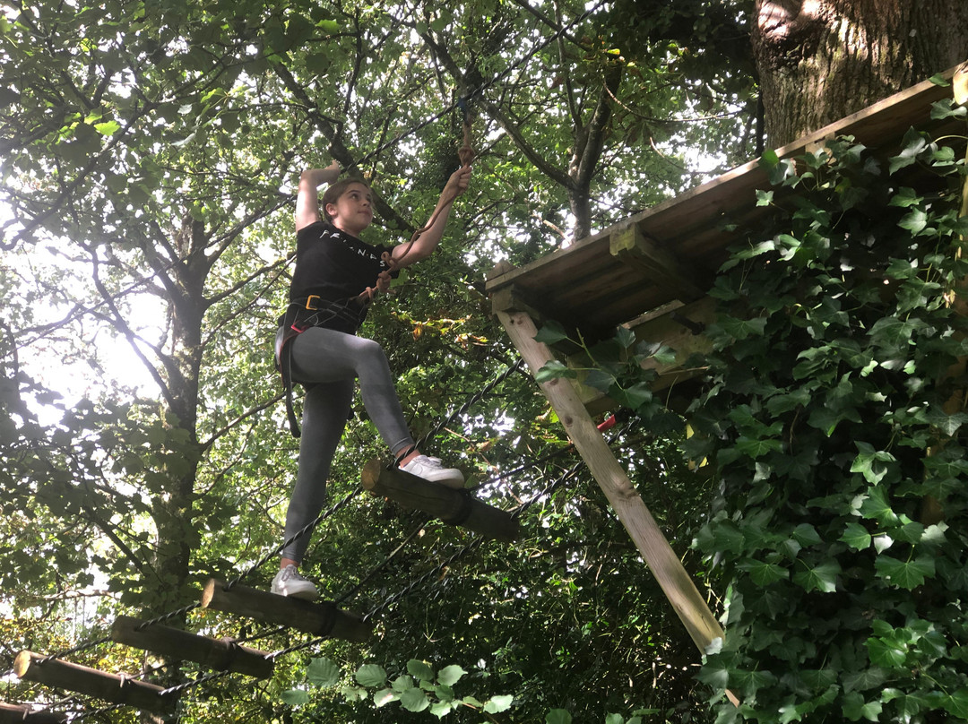 Dynamic Adventures CIC-Dartington必去景点