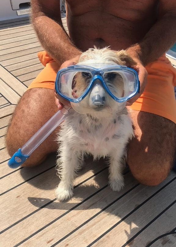 Spiaggia per Cani Doggie Beach di Caprera-Caprera必去景点