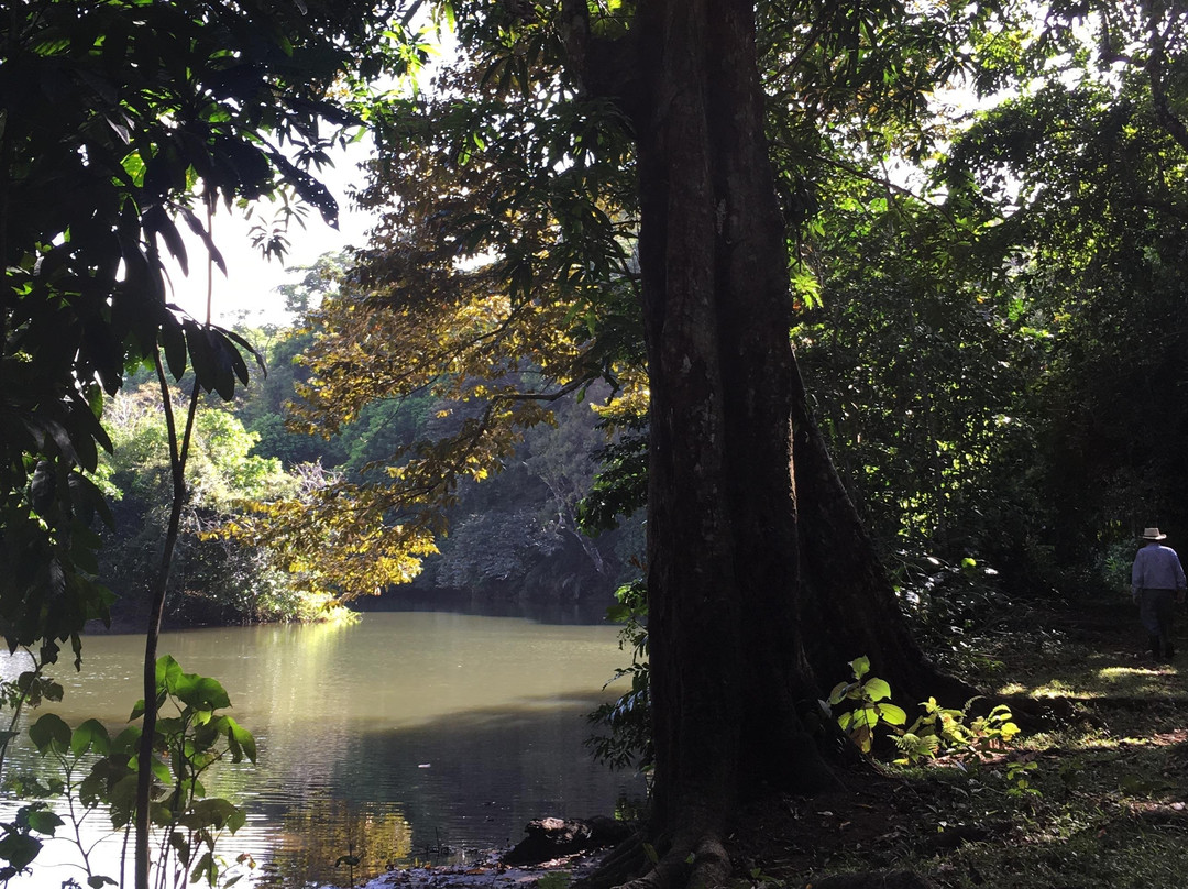 Tropical Organic Farm-Nuevo Chagres必去景点