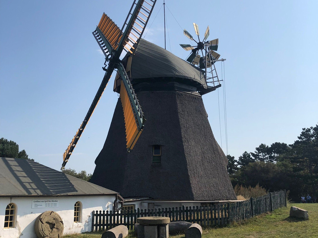Amrumer Windmühle景点图片