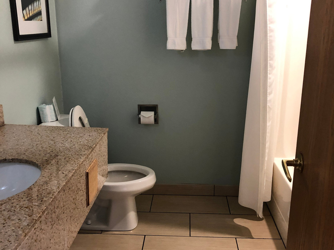 谬尼辛湖景智选假日套房酒店主图