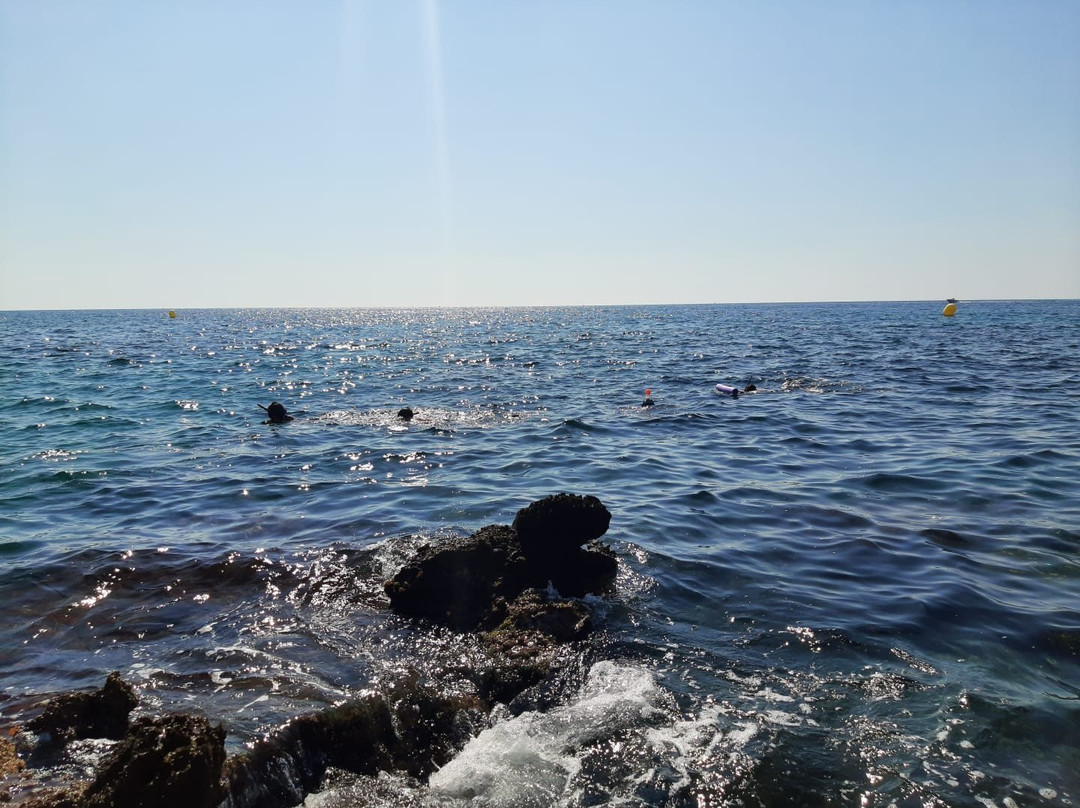 Platja Calafató景点图片