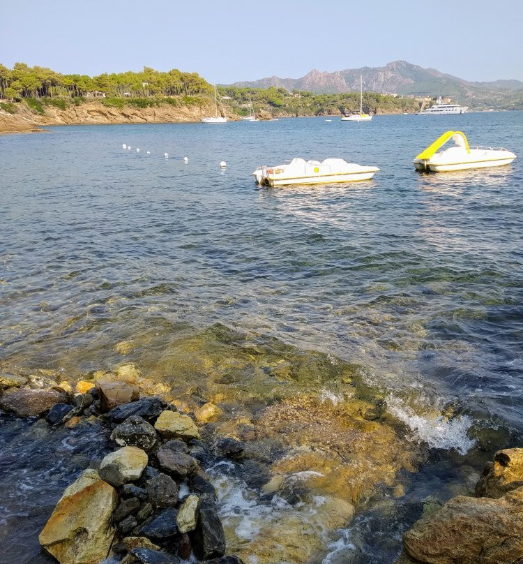 Spiaggia Calanova景点图片