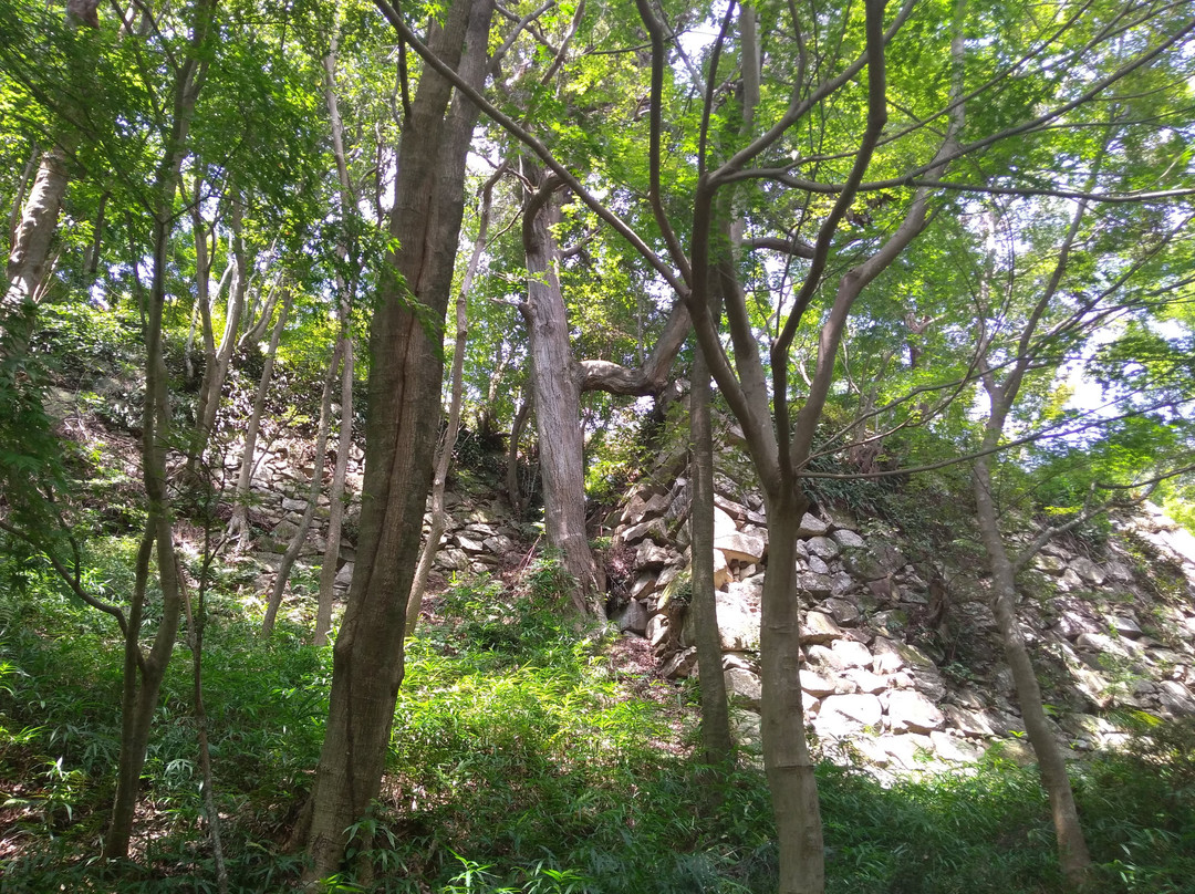 Ruins of Mt. Hachiman Castle景点图片