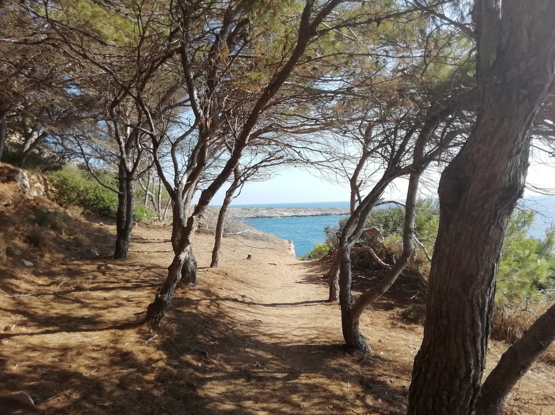 Spiaggia di Cala Minnola景点图片