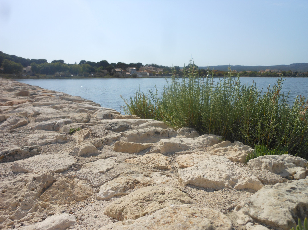 La vigneronne 1870主图