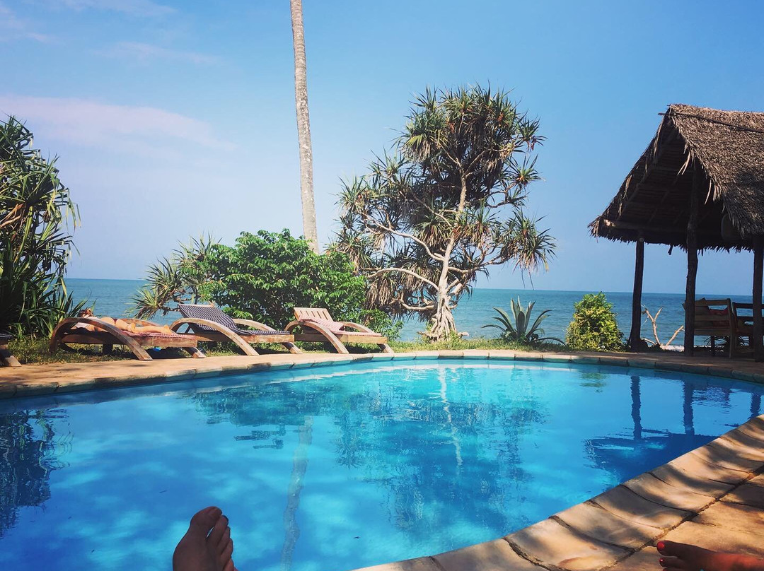 Peponi Beach Resort主图