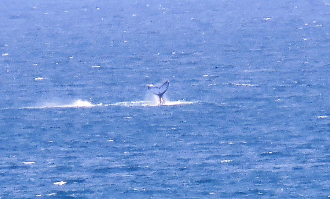 24 Houtboschbay Honeymoon Suite With a Jacuzzi主图