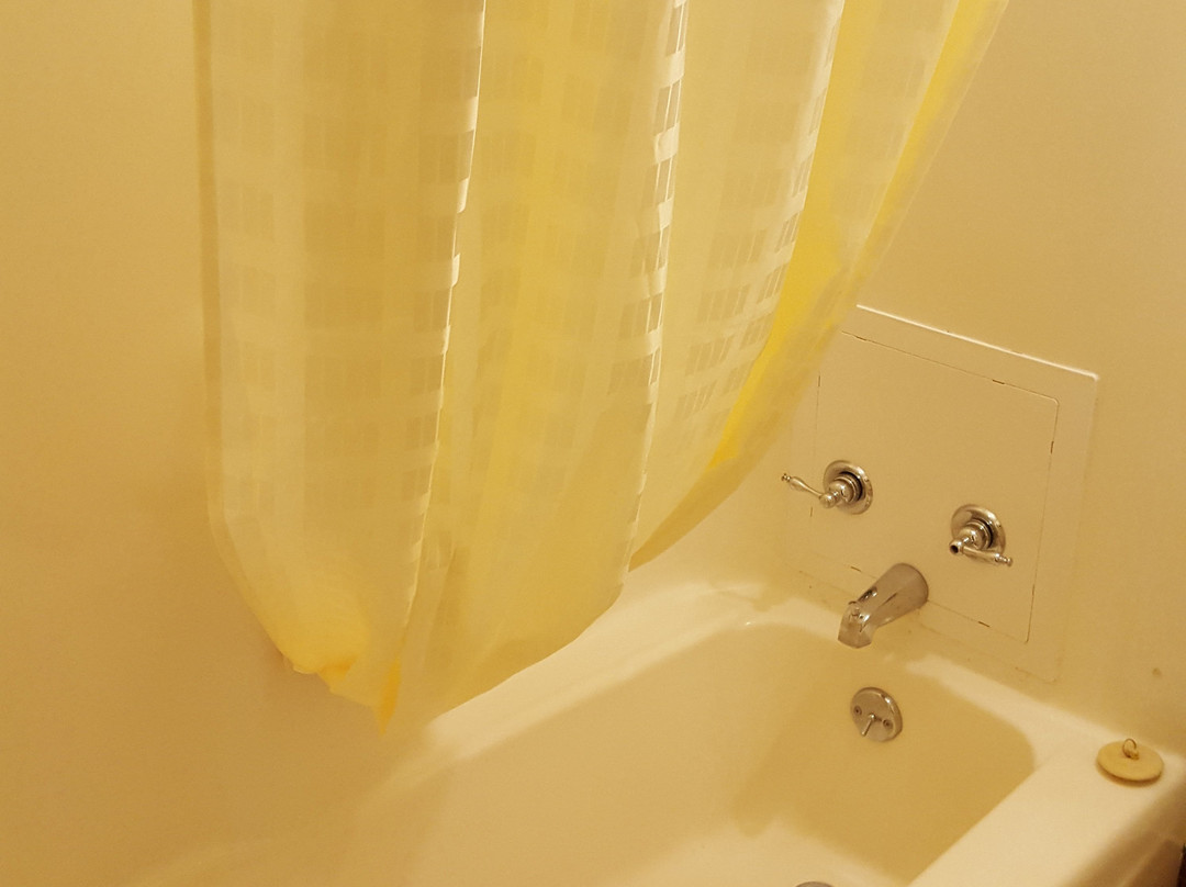 Brad's Desert Inn主图