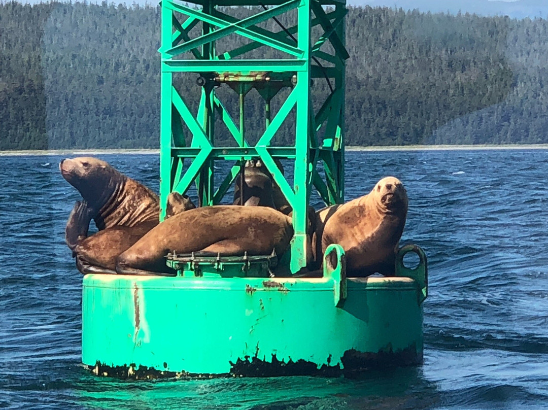 Icy Strait Whale Adventures-胡纳必去景点