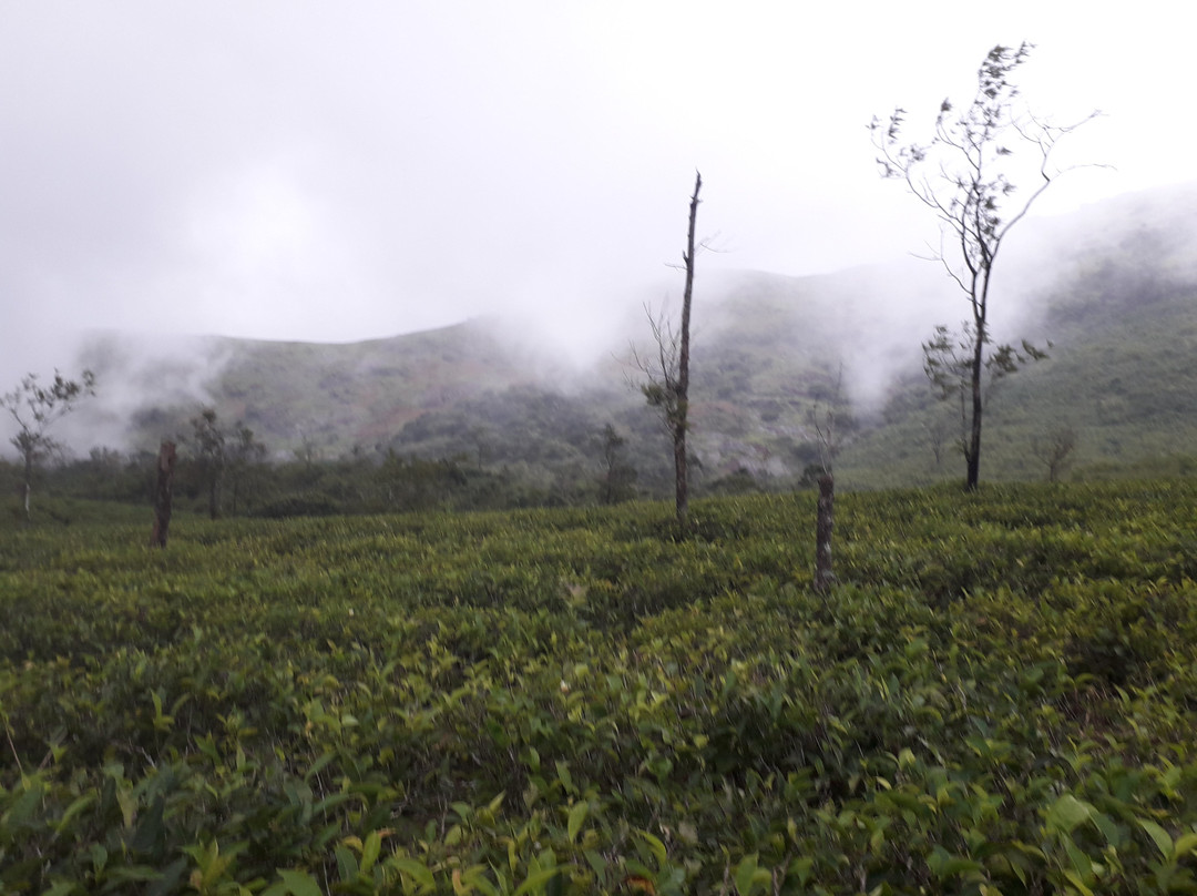 Urumbikkara-伊杜基必去景点