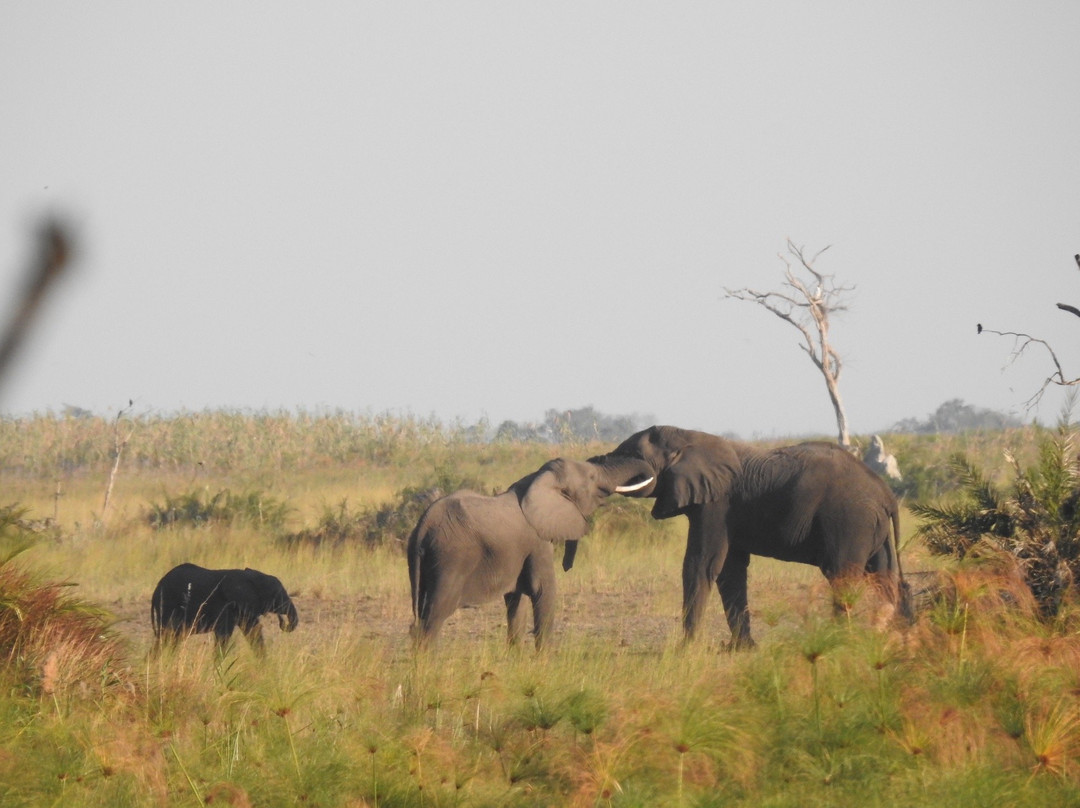 Umvuvu Tented River Lodge & Campsite
