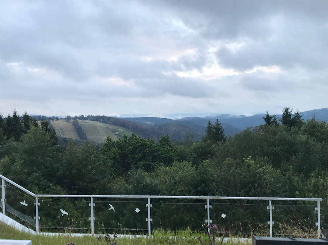 Rock Resort - Sankt Andreasberg主图