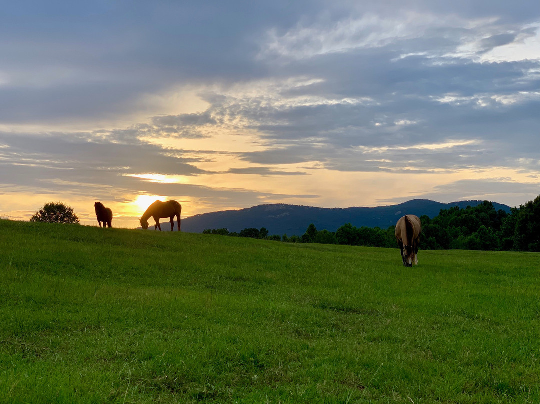 The Red Horse Inn主图