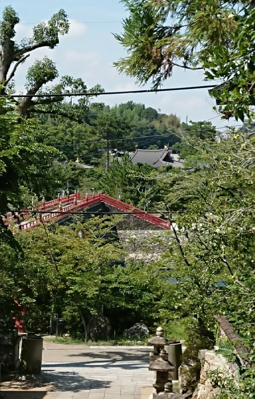 Asagiri Bridge景点图片