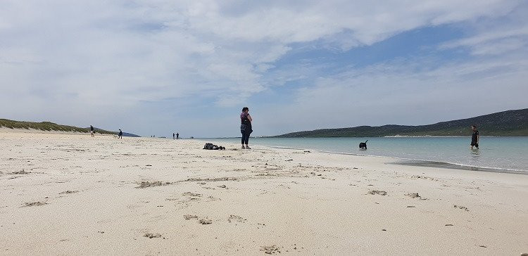 Hebridean Tours景点图片