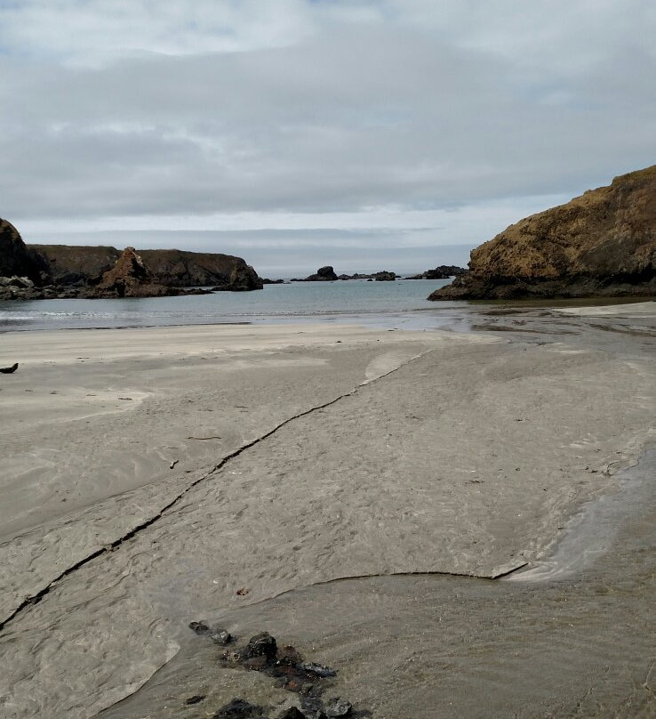 Noyo Headlands Park景点图片