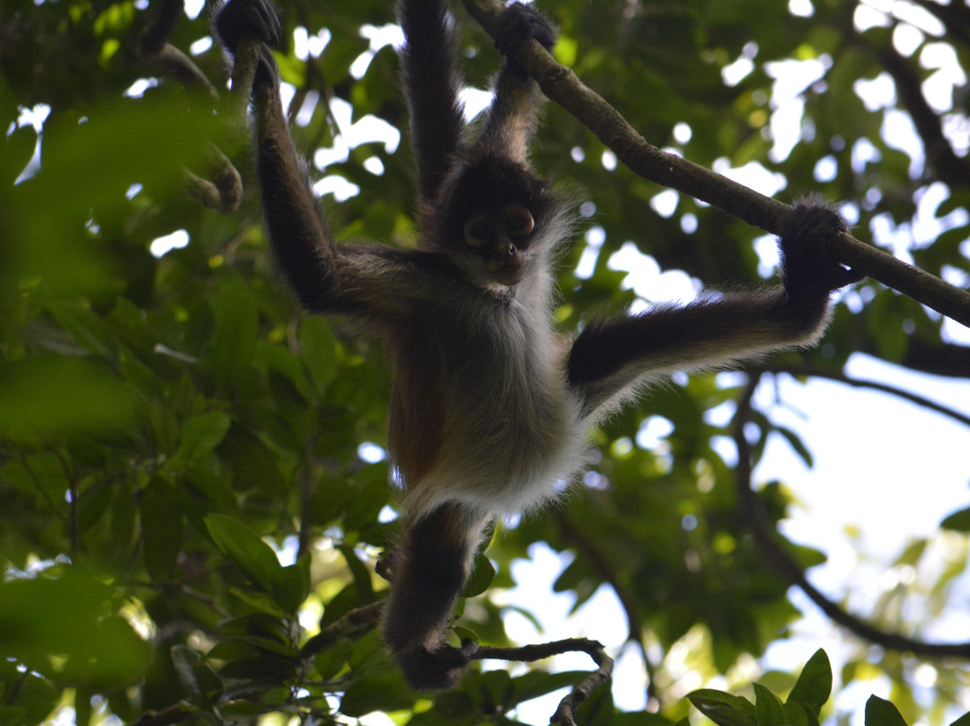 Tours & Information Bacalar-Bacalar必去景点