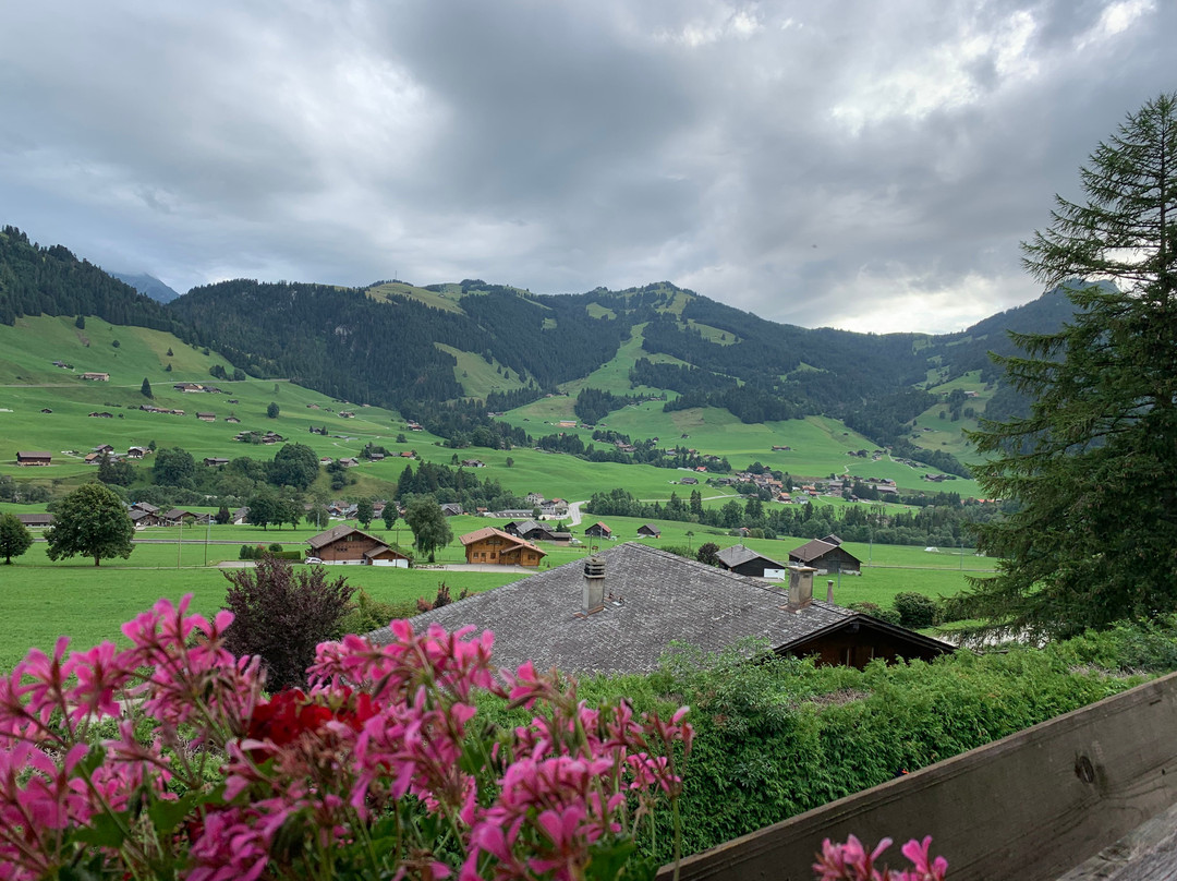 Le Vieux Chalet主图