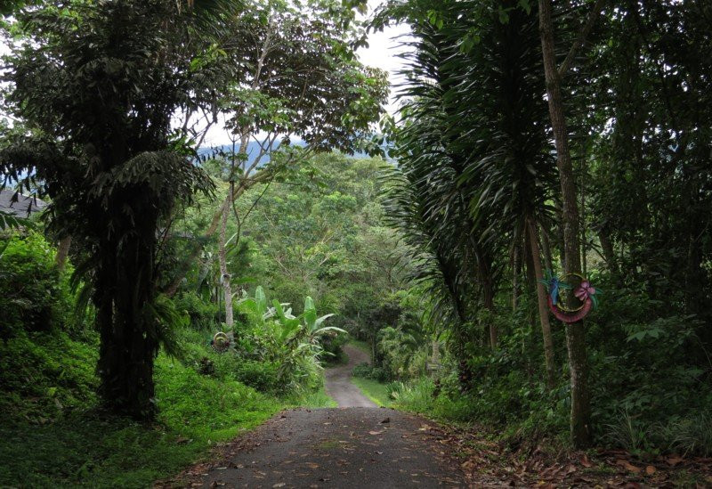 Talari Mountain Lodge主图